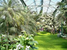 Wilhelma Botanical Garden Zoo Stuttgart De Zoo Places Around The World Tropical