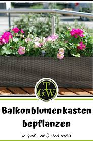Geranien Balkonblumen Im Kasten Ideen Und Pflanzvorschlage In 2020 Balkon Blumen Balkonkasten Bepflanzen Balkonkasten