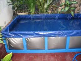 Dunia Cara Ternak Hewan Peluang Usaha Sampingan Tips Jitu Cara Ternak Gurame Di Lahan Sempit Ikan Air Tawar Peternakan Hewan