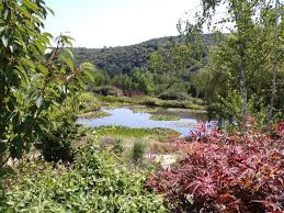 Les Jardins D Eau Pres De Sarlat En 2020 Avec Images Jardin D Eau Joli Jardin Jardins