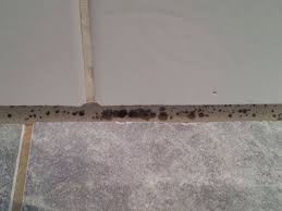 Pin On Norry S Board