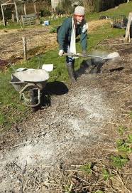 Cendre De Bois Au Jardin Avec Images Jardinage Jardin Potager Cendre Jardin