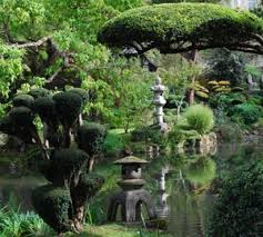 Le Parc Oriental De Maulevrier Plus Grand Jardin Japonais D Europe Maine Et Loire Jardin Japonais Cascade De Jardin Arbre De Jardin