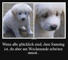 Wenn Alle Glucklich Sind Dass Samstag Ist Lustige Bilder Spruche Witze Echt Lustig Lustige Bilder Wochenende Bild Wochenende