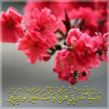 قرآن كريم آيه رب لا تذرني فردا وانت خير الوارثين Quran Arabic Quotes Flowers