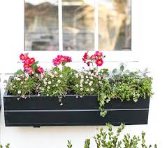 Balkonkasten Fruhling Saxifraga Steinbrech Primeln Filziges Hornkraut Mauerpfeffer Coral Reef Balkonkasten Bepflanzen Balkon Pflanzen Pflanzideen