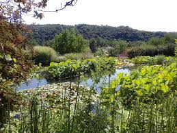 Les Jardins D Eau Pres De Sarlat En 2020 Jardin D Eau Joli Jardin Jardins