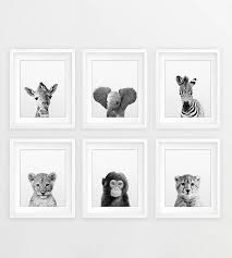 Black And White Animal Prints For Baby Nursery Safari Nursery Decor Black White Baby Animals Set 6 Zebra Giraffe Lion Print Modern Nursery Wall Art Safari Animal Prints Printable Art In 2020 Safari Nursery Safari Nursery Decor Elephant Wall Art Nursery