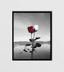 Black And White Framed Art For Bathroom Black White Red Wall Decor Red Rose Wall Art Red Wall Decor Red Walls White Wall Decor