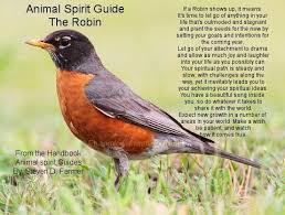 Bird Flying Into Window Meaning If A Robin Shows Up It Means It S Time To Let Go Of Anything In Your Life That S Outmoded An Spirit Animal Meaning Spirit Animal Totem Animal Spirit Guides