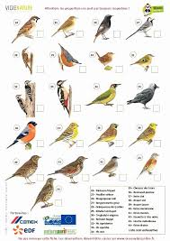 Les Oiseaux Des Jardins Oiseaux Des Jardins Oiseaux Oiseaux De France