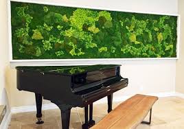 Mooswand Selber Machen Pflanzenwand Moosbild Grune Wand Wandgarten Pflanzen Wandbegrunung Frisches Kunstliches Moos Kaufen Ech Mooswand Moosbilder Pflanzenwand