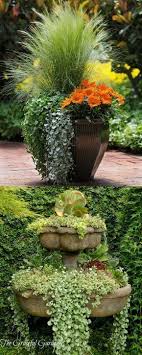 24 Stunning Container Garden Designs With A List Of Plants For Everyone 24 Stunning Container Garden De In 2020 Container Garden Design Plants Garden Containers