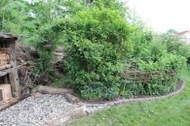 Benjes Hecke Totholz Benjeshecke Totholzhecke Garten Vogel Weidenzaun Anlegen Geholze Einheimisch Lebensraum F Naturgarten Garten Naturnaher Garten