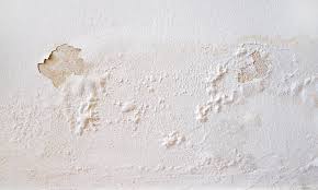 Feuchte Wande Sanieren So Geht S Das Haus Fliesenspiegel Wand Mauerwerk