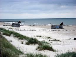 Die Pferde Am Blavand Strand Danemark Urlaub Danemark Strand Urlaubsreisen