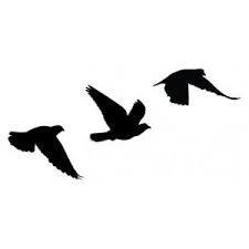 Bird Flying Into Window Meaning Flying Birds Bird Tattoo Meaning Birds Tattoo Flying Bird Tattoo