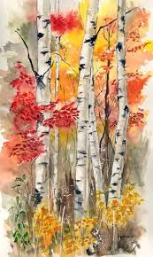 Birch Trees In Fall Photos Fall Birch Trees Tree Art Watercolor Art Tree Painting