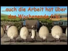 Wochenende Kalt Wird Es Wieder Grrrr Freitag Samstag Sonntag Talking Fac Schones Wochenende Spruche Lustig Schones Wochenende Lustig Schones Wochenende Spruche