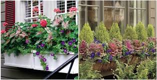 Balkonkasten Bepflanzen Sommer Herbst Schatten Balkonkasten Bepflanzen Bepflanzung Balkonkasten