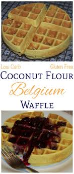These Delicious Low Carb Coconut Flour Belgian Waffles Are Very Close To The Real Thing And They Are Gluten F Low Carb Waffeln Candida Rezepte Low Carb Rezepte
