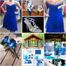 Blue Dendrobium Orchids Weddingbee Blue Orchid Wedding Blue Dendrobium Orchids Orchid Wedding Theme