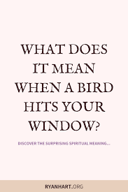 Bird Flying Into Window Meaning 3 Spiritual Meanings Of Birds Hitting Windows Spiritual Meaning Birds Flying Into Windows Why Do Birds
