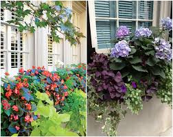 Balkonkasten Bepflanzen Sonnig Schatten Beispiele Balkonkasten Bepflanzen Pflanzideen Blumenkasten Bepflanzen