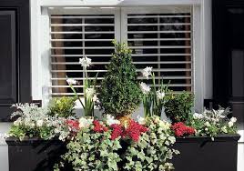 Balkonkasten Bepflanzen Ideen Und Beispiele Fur Sonnige Und Schattige Standorte Balkonkasten Bepflanzen Pflanzideen Pflanzen