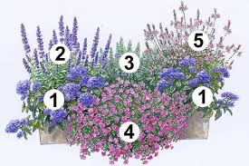 Trendige Blumenkasten Zum Nachpflanzen Blumen In Einer Schachtel Garten Pflanzkasten Garten