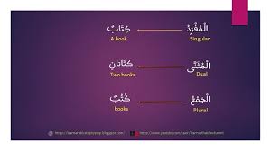 Singular Dual Plural Noun In Arabic With Examples Plurals Nouns Plural Nouns