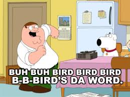 Bird Bird Bird Is The Word Song Family Guy Https Encrypted Tbn0 Gstatic Com Images Q Tbn 3aand9gcqu2fvfgvd7ffbdbgtxkv68wacj9l2jcjjhpw Usqp Cau