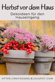 Pflanzen Die Im Winter Farbe In Den Garten Bringen Garten Pflanzen Und Schnecken Im Garten