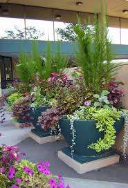 Composition Pot Jardin Recherche Google Tradgard Tradgard Odling Tradgardsodling I Kruka