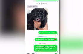 Craigslist Puppy Ad Scams People Out Of Thousands Wway Tv
