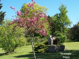 Jardin A Souvigny En Sologne Sologne Jardins Photos
