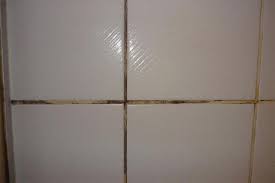 Wohnung Dusche Bad Schimmel Schwarz Rot An Fugen Entfernen Vermeiden Schimmel Im Bad Schimmel In Der Dusche Fugen In Der Dusche Reinigen