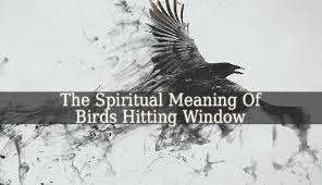 Bird Flying Into Window Meaning The Spiritual Meaning Of Birds Hitting Window Is More Complex Most Of Us Were Raised Knowing That This Phe Spiritual Meaning Spirit Animal Meaning Meant To Be