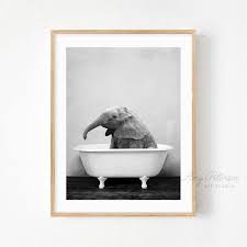 Black And White Framed Art For Bathroom Baby Elephant Bathtub Bathroom Art Black And White Baby Elephant Bathing Bathroom Wall Art Baby Animal Art Baby Animal Art Bathroom Art Bathroom Wall Art