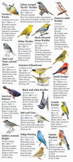 Birds Of Northern Illinois Identification Blue And White Bird In Illinois Google Search White Bird Spring Birds Common Birds