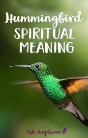 Bird Flying Into Window Meaning 4 Hummingbird Meanings Learn About Hummingbird Symbolism Hummingbird Meaning Hummingbird Symbolism Bird Meaning