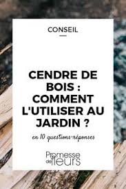 Cendre De Bois Comment L Utiliser Au Jardin Cendres De Bois Jardins Et Jardin Permaculture