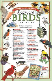 Birds Of Northern Illinois Identification Backyard Birds Checklist National Wildlife Federation Backyard Birds Backyard Birds Watching How To Attract Birds