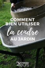Cendre De Bois Comment L Utiliser Au Jardin En 2020 Cendre Jardin Jardins Jardinage
