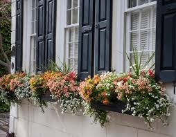 Balkonkasten Bepflanzen Sudbalkon Sonnig Sommer Fensterbox Blumen Balkonkasten Bepflanzen Balkon Pflanzen