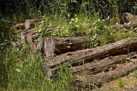 Totholz Holzstapel Holzstoss Holzstoss Naturgarten Wildlife Garden Wood Pile Log Pile Holzstapel Naturgarten Garten