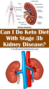 Pin On Kidney Disease Renal