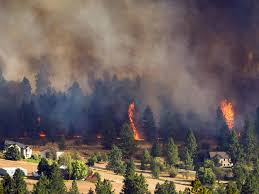Over Half Of Washington Homes Most At Risk Of Wildfire Are In Spokane Area Report Says The Spokesman Review