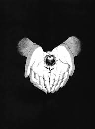 Pin On Anime Aku No Hana