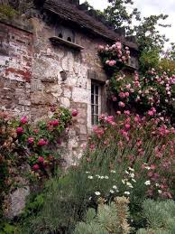 Rose Covered Cottage Cottage Garden Beautiful Gardens Dream Garden